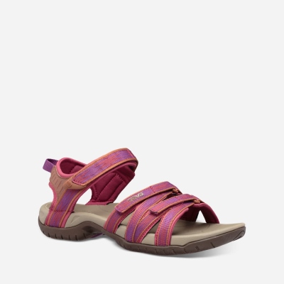 Teva Tirra - Women's Teva Hiking Sandals - Light Khaki / Rose | India (GEVM47921)